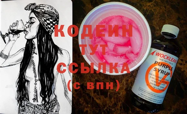 сатива Осинники
