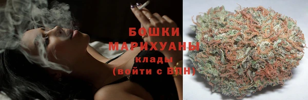 сатива Осинники
