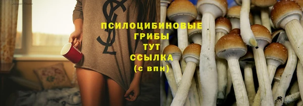 прущая мука Осташков