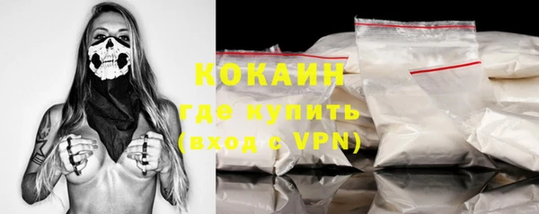 сатива Осинники