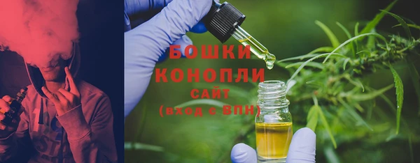 сатива Осинники