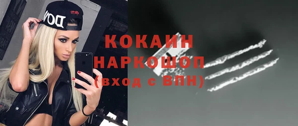 сатива Осинники