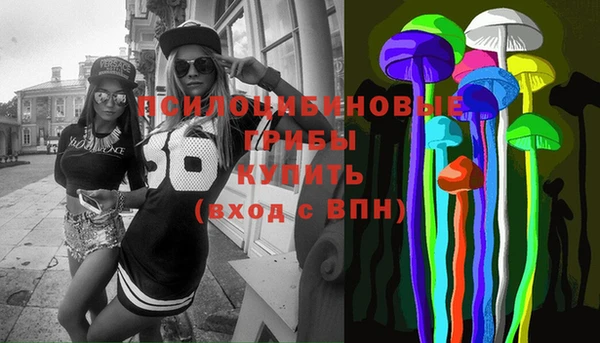 прущая мука Осташков