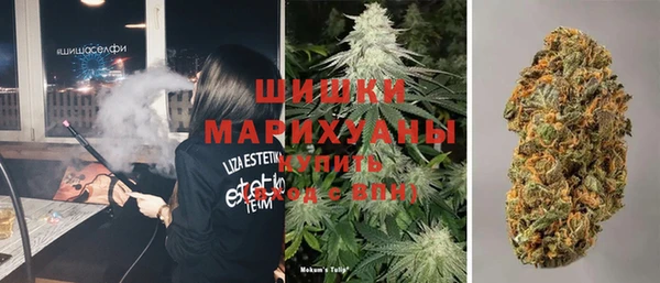 сатива Осинники