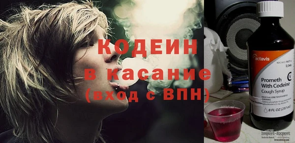 сатива Осинники