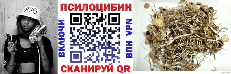 Галлюциногенные грибы Magic Shrooms  Кодинск 