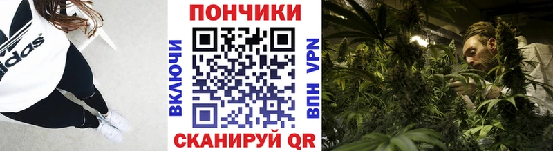 Канабис индика  ссылка на мегу ТОР  Кодинск 